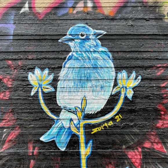 Meet your Posher, Elizabeth - Picture 8 of 16